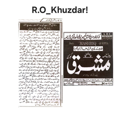 Press Clipping