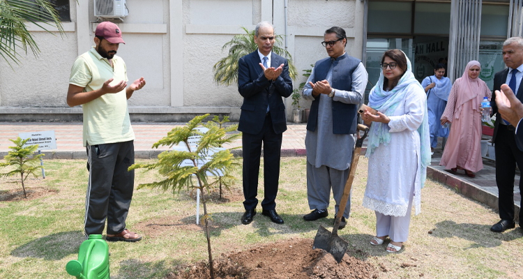 Federal Ombudsman, Mr. Naveed Kamran Baloch offering Dua after planting a sapling at the NIPA Office, Islamabad on 08.05.2026.